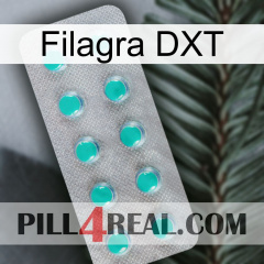 Filagra DXT 28